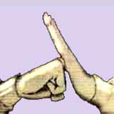 saludo1